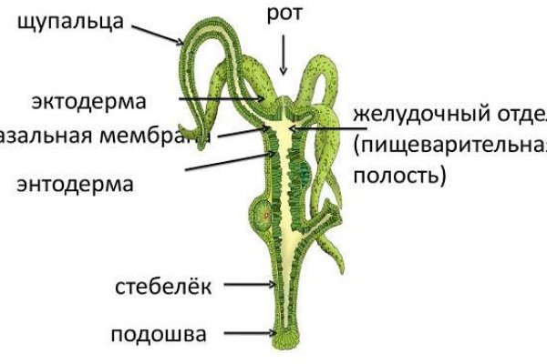 Официальный сайт кракен тор