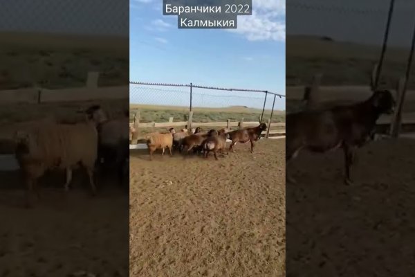 Сайт кракен тор браузера