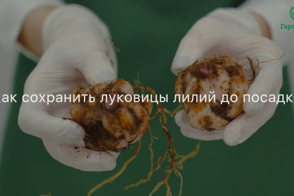Ссылка адрес на кракен тор