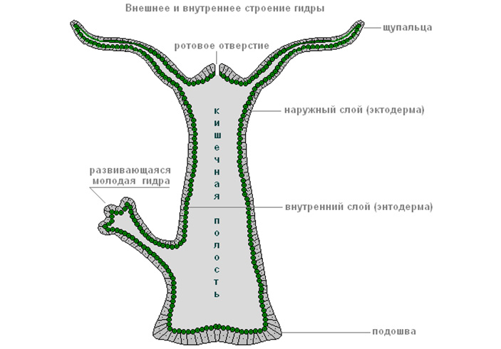 Kraken актуальный сайт